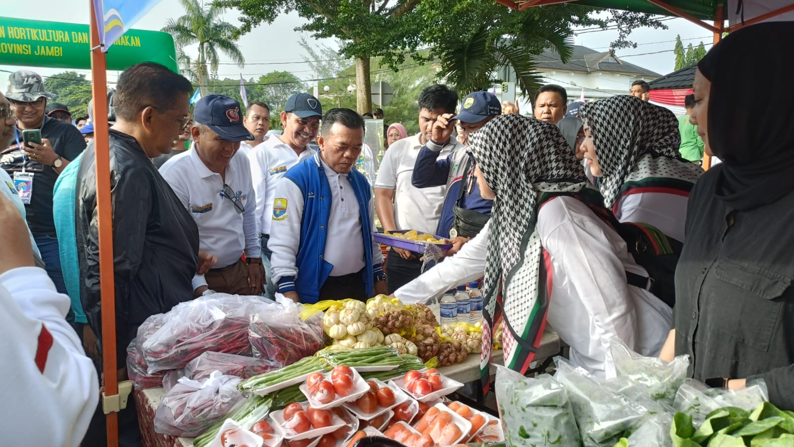 Sejak Pimpin Jambi, Al Haris Telah Kucurkan Rp 35 M untuk Pembangunan Sektor Pertanian