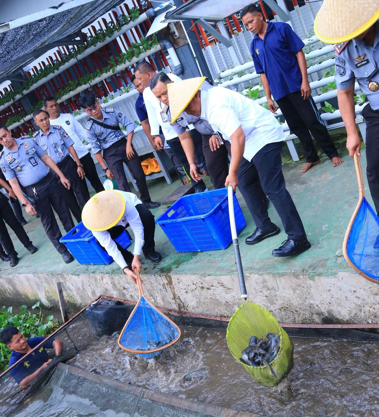 Panen Lele 1 Ton di Lapas Jambi, Dir Tekforma : Program Budidaya Ikan Bagian Akselerasi Pemasyarakatan Dukung Ketahanan Pangan Nasional