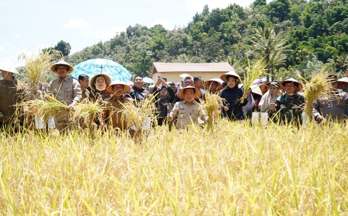 Gubernur Al Haris: Pemprov dan Pemkab Bersinergi Benahi Sistem Pertanian Agar Hasil Meningkat